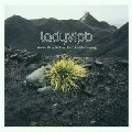 LADYVIPB / STORIES OF A BROKEN HEART AND RECOVERING