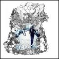 BOGGS / ボッグス / FORTS