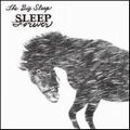 BIG SLEEP / ビッグ・スリープ / SLEEP FOREVER