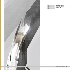 INTENSE (DRUM&BASS) / SOLAR/WITNESS