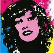 V.A. / DISCO (NOT DISCO)