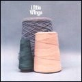 LITTLE WINGS / リトル・ウィングス / WONDER CITY