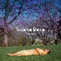 SUSANA BACA / スサーナ・バカ / TRAVESIAS