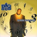 BIG BUB / ビッグ・バブ / NEVER TOO LATE