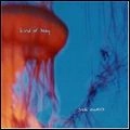 SUKI EWERS / KIND OF HAZY