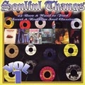 V.A. (SOULFUL THANGS) / SOULFUL THANGS VOL.1 - 22 RARE & HARD TO F