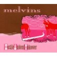 MELVINS / メルヴィンズ / HOSTILE AMBIENT TAKEOVER