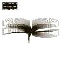 RONI SIZE / ロニ・サイズ / THROUGH THE EYES