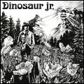 DINOSAUR JR. / ダイナソー・ジュニア / DINOSAUR JR (COLOR VINYL)