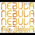 NEBULA / ネビューラ / PEEL SESSIONS