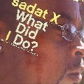 SADAT X / サダトX / WHAT DID I DO