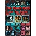 BEACH BOYS / ビーチ・ボーイズ / BEACH BOYS AND THE SATAN