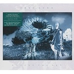 TREY GUNN / トレイ・ガン / UNTUNE THE SKY