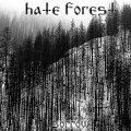 HATE FOREST / SORROW