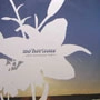 MO' HORIZONS / モー・ホライズンズ / AND THE NEW BOHEMIAN FREEDOM