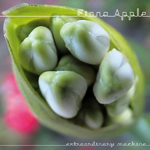 FIONA APPLE / フィオナ・アップル / EXTRAORDINARY MACHINE