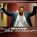 GINUWINE / ジニュワイン / SENIOR