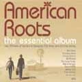 V.A. / AMERICAN ROOTS