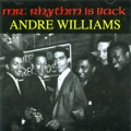 ANDRE WILLIAMS / アンドレ・ウィリアムス / MR.RHYTHM IS BACK