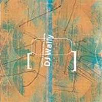 DJ WALLY / NOTHING STAYS THE SAME