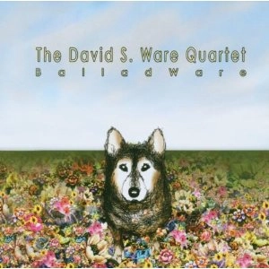 DAVID S WARE / デヴィッド・S・ウェア / BALLADWARE