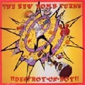 NEW BOMB TURKS / ニューボムタークス / DESTROY-OH-BOY