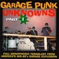VA (GARAGE PUNK UNKNOWNS) / GARAGE PUNK UNKOWNS 1