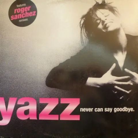 YAZZ / ヤズ / NEVER CAN SAY GOODBYE