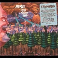 ASSEMBLE HEAD IN SUNBURST SOUND / EKRANOPLAN