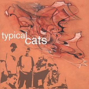 TYPICAL CATS / TYPICAL CATS
