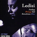 LEDISI / レデシー / FEELING ORANGE,BUT SOMETIMES BLUE