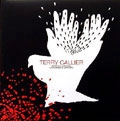 TERRY CALLIER / テリー・キャリアー / RUNNING AROUND MONUMENTS OF MARS