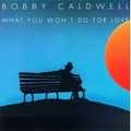 BOBBY CALDWELL / ボビー・コールドウェル / WHAT YOU WON'T DO FOR LOVE