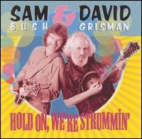 SAM BUSH & DAVID GRISMAN / サム・ブッシュ&デヴィッド・グリスマン / HOLD ON,WE'RE STRUMMIN'