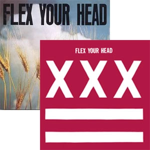 V.A (DISCHORD RECORDS) / FLEX YOUR HEAD (CD)