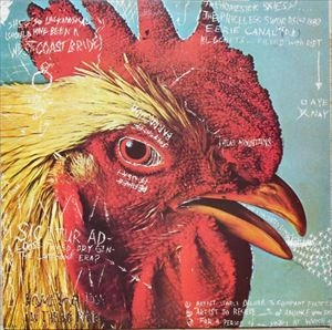 PAVEMENT / ペイヴメント / WATERY,DOMESTIC