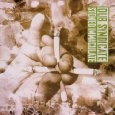 DUB SYNDICATE / ダブ・シンジケート / STONED IMMACULATE