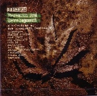 DUB SYNDICATE / ダブ・シンジケート / RESEARCH & DEVELOPMENT