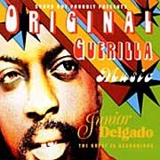 JUNIOR DELGADO / ジュニア・デルガド / ORIGINAL GUERILLA MUSIC-THE GREAT JA RECOR