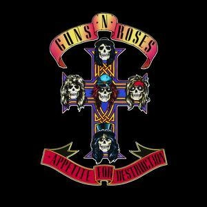 GUNS N' ROSES / ガンズ・アンド・ローゼズ / APPETITE FOR DESTRUCTION