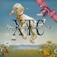 XTC / UPSY DAISY ASSORTED - U.S.A.