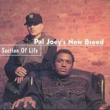PAL JOEY / パル・ジョイ / SECTION OF LIFE