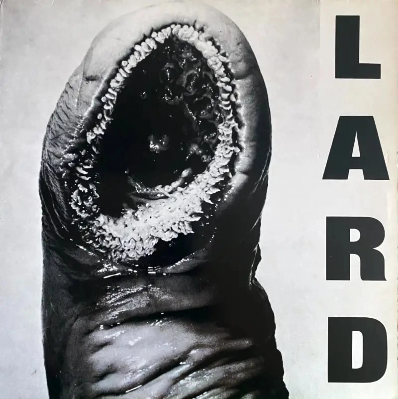 LARD / ラード / POWER OF LARD (LP)