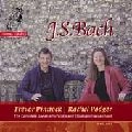 RACHEL PODGER / レイチェル・ポッジャー / BACH:VIOLIN SONATAS NOS.1-6(2CD) / BACH:VNSON1-6 2CD