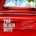 BEACH BOYS / ビーチ・ボーイズ / CARL & THE PASSIONS / HOLLAND