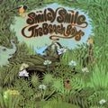 BEACH BOYS / ビーチ・ボーイズ / SMILEY SMILE/WILD HONEY