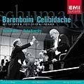 DANIEL BARENBOIM / ダニエル・バレンボイム / SCHUMANN:PIANO CONCERTO/TCHAIKOVSKYT:PIANO CONCERTO NO.1