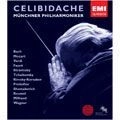 SERGIU CELIBIDACHE / セルジゥ・チェリビダッケ / CELIBIDACHE EDITION VOLUME 4