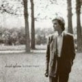 DAVID SYLVIAN / デヴィッド・シルヴィアン / BRILLIANT TREES