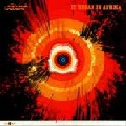 CHEMICAL BROTHERS / ケミカル・ブラザーズ / IT BEGAN IN AFRIKA - USA